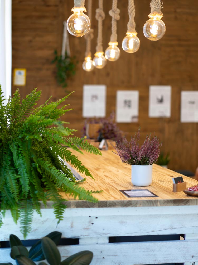 Estudi de Pilates Màquines i Mat a Vic